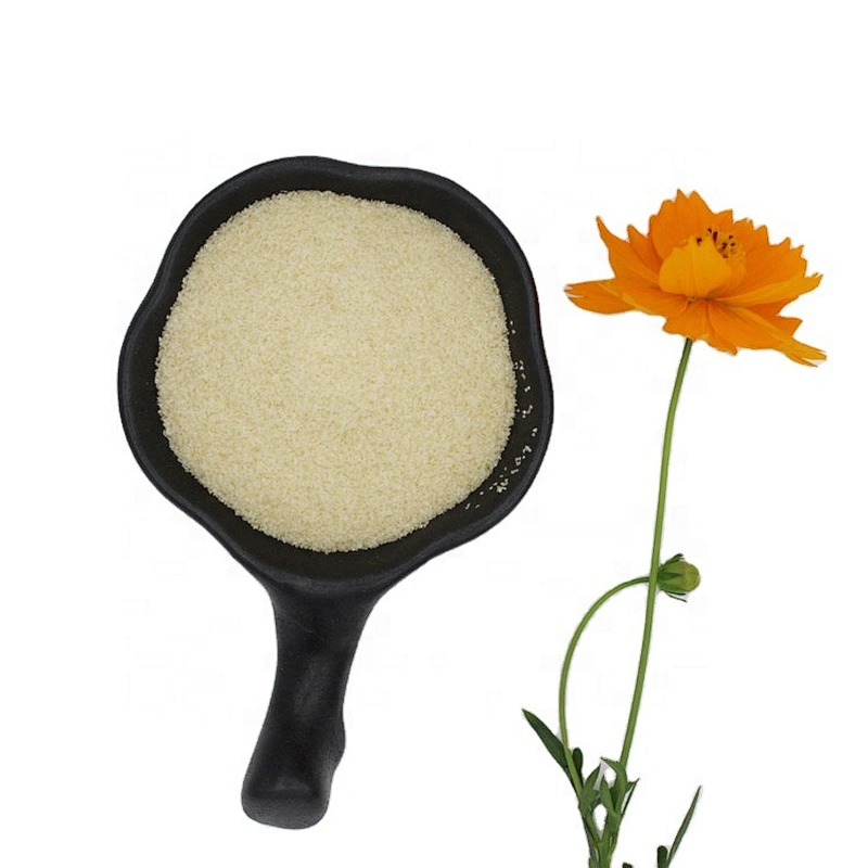 food grade gelatin and factory in China with best price with high quality gelatin beef